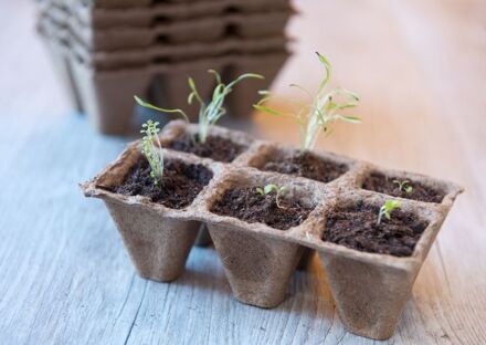 Turfpottrays -  Biologisch afbreekbare turfpotjes - H5x5x5cm set a 10 trays van 6 stuks