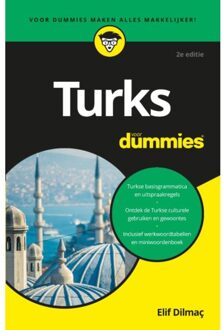 Turks Voor Dummies - Voor Dummies - Elif Dilmaç