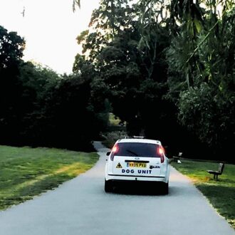 Turn Right And Right Again - Dog Unit