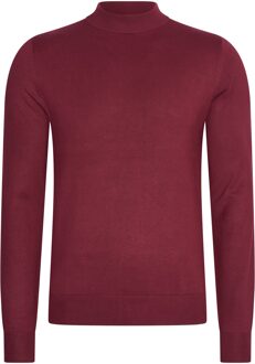 Turtle neck trui bordeaux Rood - 3XL