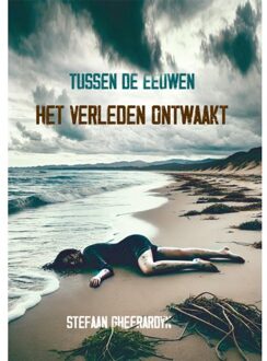 Tussen De Eeuwen: Het Verleden Ontwaakt. - Stefaan Gheerardyn