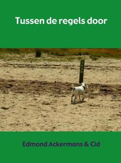 Tussen de regels door - Boek Edmond Ackermans & Cid (9463427503)