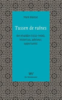 Tussen De Ruïnes - Mark Blaisse