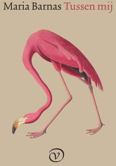 Tussen mij -  Maria Barnas (ISBN: 9789028253032)