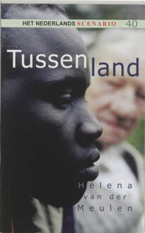 Tussenland - Boek H. van der Meulen (9080606987)