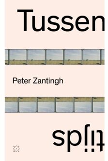 Tussentijds - Peter Zantingh