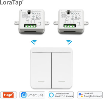 Tuya WiFi RF Switch Socket Module 10A with 2 Gang Wireless Switch Smart Home Google Home Alexa Echo App Timer Remote Control
