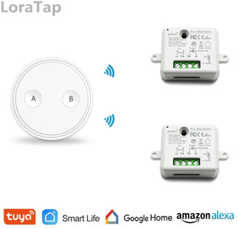 Tuya WiFi Switch Socket Relay Micromodul 10A with Remote Control Voice Control Google Home Alexa Echo Smart Life App Timer