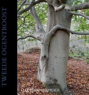 Tweede Ogentroost - Elle Brenninkmeijer