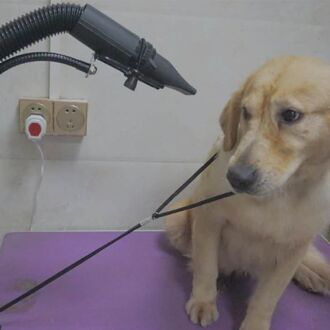 Tweeërlei Gebruik Huisdier Föhn Beugel Telescopische Elke Vorm Fixatie Frame Multipurpose D08F