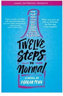 Twelve Steps to Normal