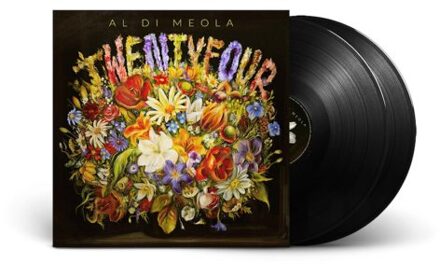 Twentyfour - Al Di Meola