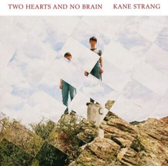 Two Hearts And No Brain (Red)