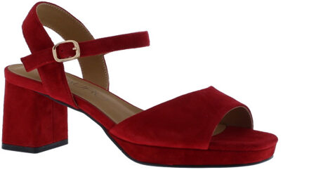 Tylina blok hak plateau | dames | maat: | suede - maat 39 Rood