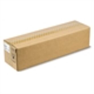 type MP C2800 developer unit zwart (origineel)