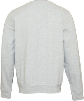 U.S Polo Assn. Amerikaanse polo Assn-sweatshirt - maat Grijs