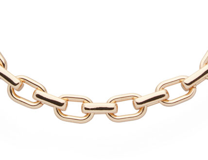 U.S Polo Assn. US Polo Assn Jewellery Adele Rhodium ketting Goud