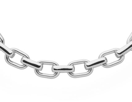 U.S Polo Assn. US Polo Assn Jewellery Adele Rhodium ketting Wit