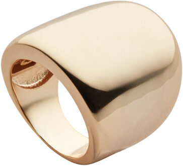U.S Polo Assn. US Polo Assn Jewellery Athena Geelgouden Ring - One Size