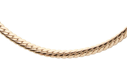 U.S Polo Assn. US Polo Assn Jewellery Denver roestvrijstalen ketting Goud