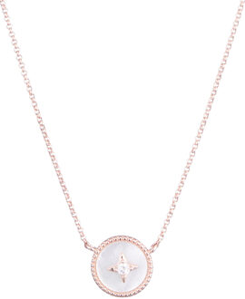 U.S Polo Assn. US Polo Assn Jewellery Irine roségouden ketting - One Size