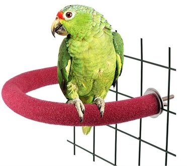 U Vorm Bird Perch Stand Speelgoed Papegaai Stand Platform Kleurrijke Zand Poot Slijpen Stok Kooi Accessoires Voor Valkparkiet rood