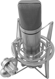 U87 Microfoon Set Voice Microfoon Metalen Mini Gastheer Apparaat Condensator Microfoon Live Microfoon Voor Live/Show, Wit