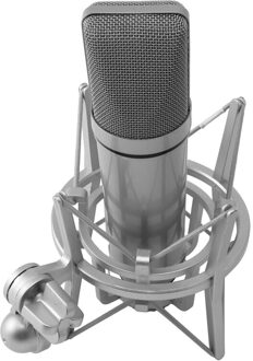 U87 Microfoon Set Voice Microfoon Metalen Mini Gastheer Apparaat Condensator Microfoon Live Microfoon Voor Live/Show, Wit