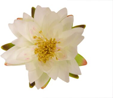 Ubbink Drijfbloem - Waterlelie - Crème - 16cm