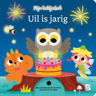 Uil Is Jarig - Mijn Lichtjesboek