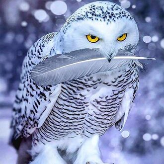 Uil Landschap Diamant Schilderen Borduren Kruissteek Gevederde Uil DIY Decoratie Schilderijen Thuis Kamer Hotel Display Schilderijen