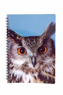 Uilen vogels thema schrift notitieboekje 3D 21cm - Notitieboek Multikleur