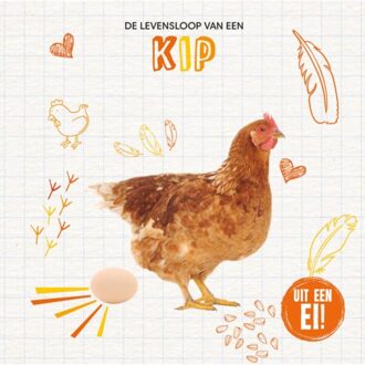 Uit een ei!  -   De levensloop van een kip