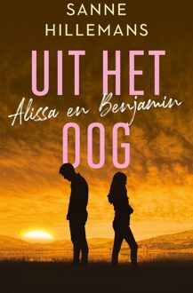 Uit het oog - Sanne Hillemans - ebook