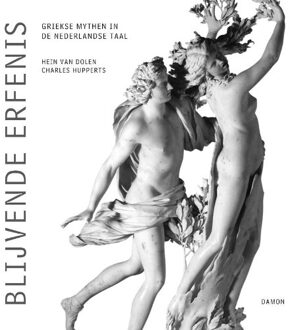 Uitgeverij Damon Vof Blijvende erfenis - Boek Hein van Dolen (9055737879)