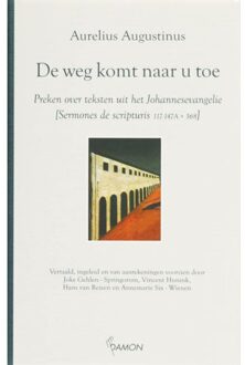 Uitgeverij Damon Vof De weg komt naar u toe - Boek Aurelius Augustinus (9055737674)