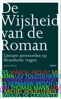 Uitgeverij Damon Vof De wijsheid van de roman - Boek Jeroen Vanheste (946036232X)