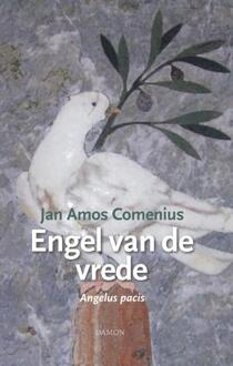 Uitgeverij Damon Vof Jan Amos Comenius, Engel van de vrede - Boek Jan Amos Comenius (9463401105)