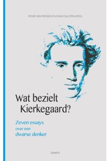 Uitgeverij Damon Vof Wat bezielt Kierkegaard? - Boek Uitgeverij Damon VOF (9460361986)