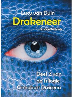 Uitgeverij De Graveinse Abeel Drakeneer - Groteletterboek 1 band