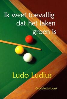 Uitgeverij De Graveinse Abeel Ik weet toevallig dat het laken groen is - Boek Ludo Ludius (9462600708)