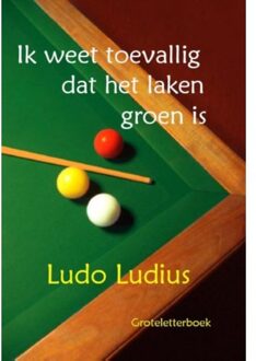 Uitgeverij De Graveinse Abeel Ik weet toevallig dat het laken groen is - Boek Ludo Ludius (9462600708)