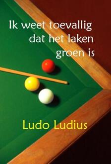 Uitgeverij De Graveinse Abeel Ik weet toevallig dat het laken groen is - Boek Ludo Ludius (946260777X)
