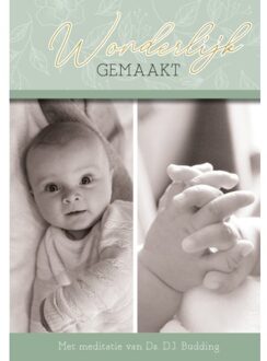 Uitgeverij De Ramshoorn Wonderbaarlijk Gemaakt - D.J. Budding