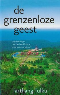 Uitgeverij Dharma De grenzeloze geest - Boek Tarthang Tulku (9073728177)