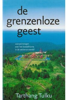 Uitgeverij Dharma De grenzeloze geest - Boek Tarthang Tulku (9073728177)