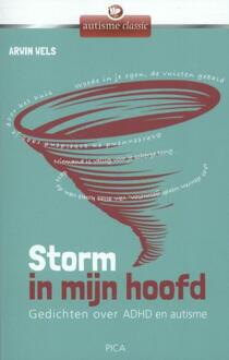Uitgeverij Pica Storm in mijn hoofd - Boek Arwin Wels (9077671994)