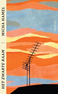 Uitgeverij Pluim Het zwarte raam - Micha Hamel - ebook