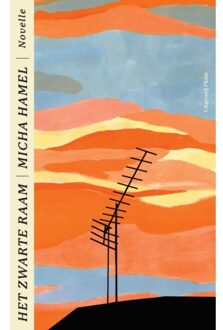 Uitgeverij Pluim Het Zwarte Raam - Micha Hamel