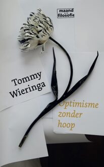 Uitgeverij Pluim Optimisme zonder hoop - Tommy Wieringa - ebook